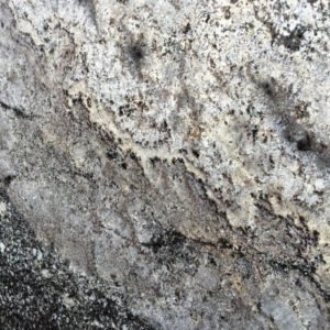 Wild Smoke Granite