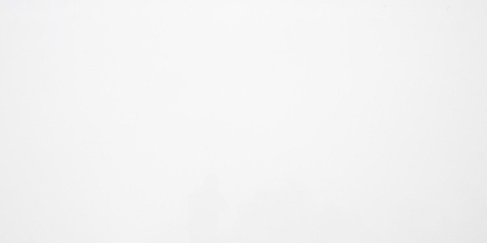 Zen White Quartz